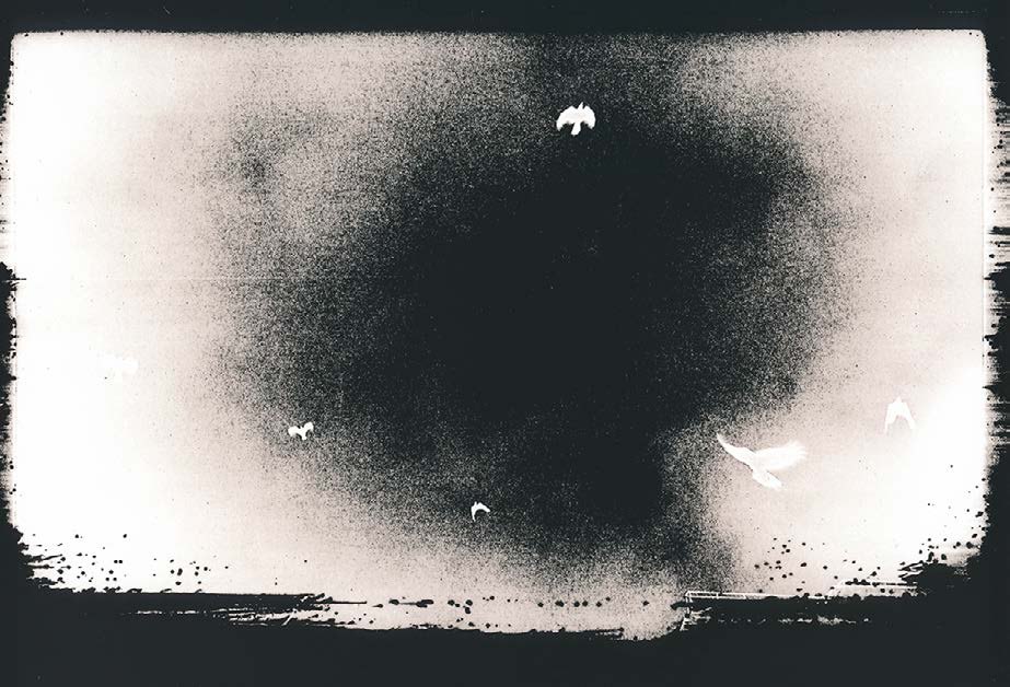 Birds scattered across a foggy lith-printed sky